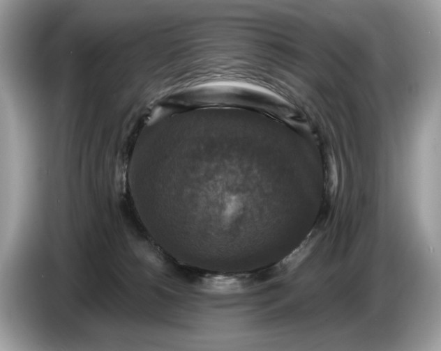 X0000086730180200704271638