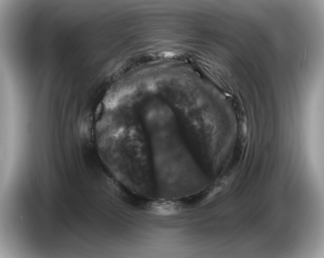 X0000086730181200704271638