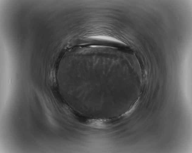 X0000086730182200704271638