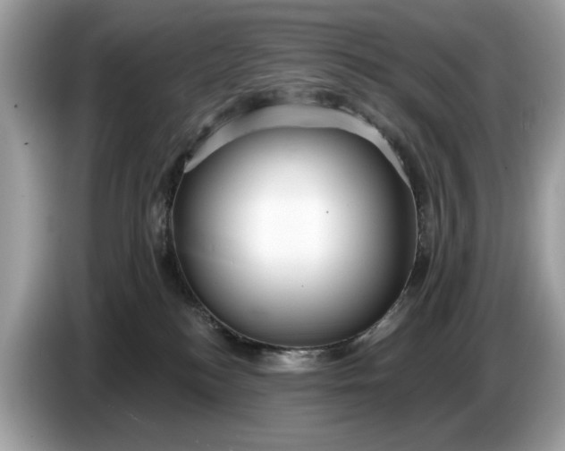 X0000086730184200704271638