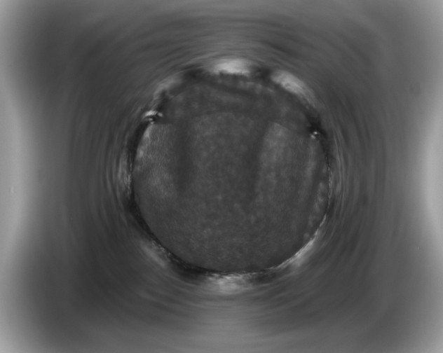 X0000086730186200704271638