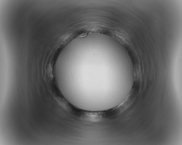 X0000086730187200704271638