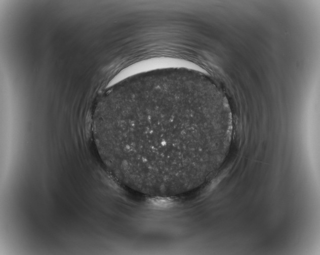 X0000086730189200704271638