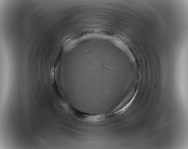 X0000086730190200704271638