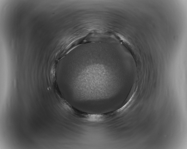 X0000086730192200704271638