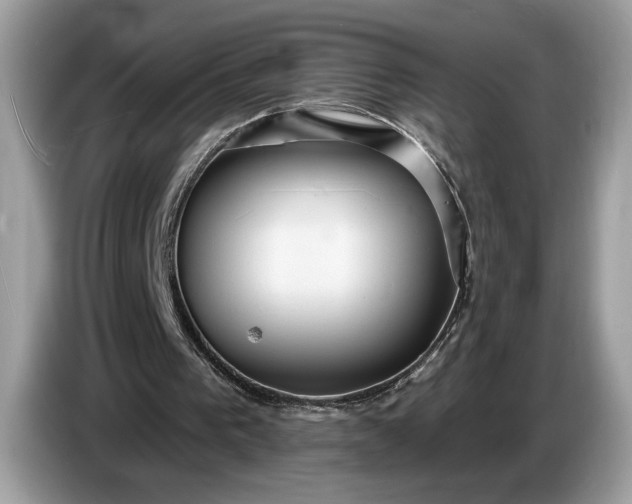 X0000086730193200704271637