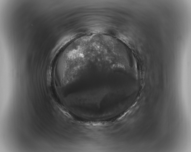 X0000086730194200704271637