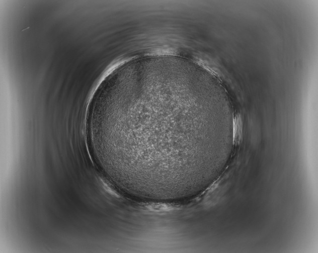 X0000086730195200704271637