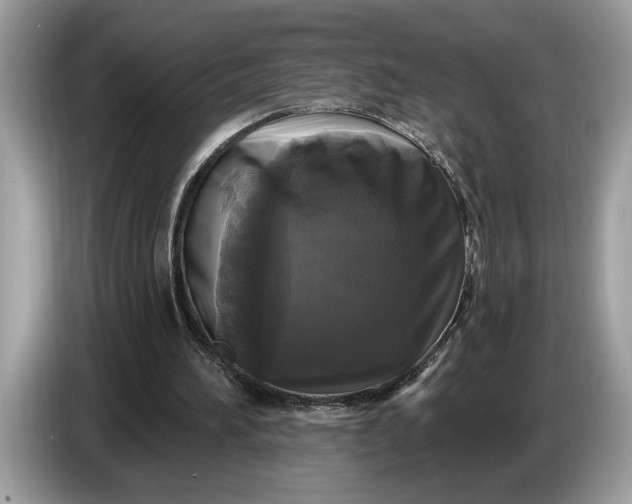 X0000086730196200704271637