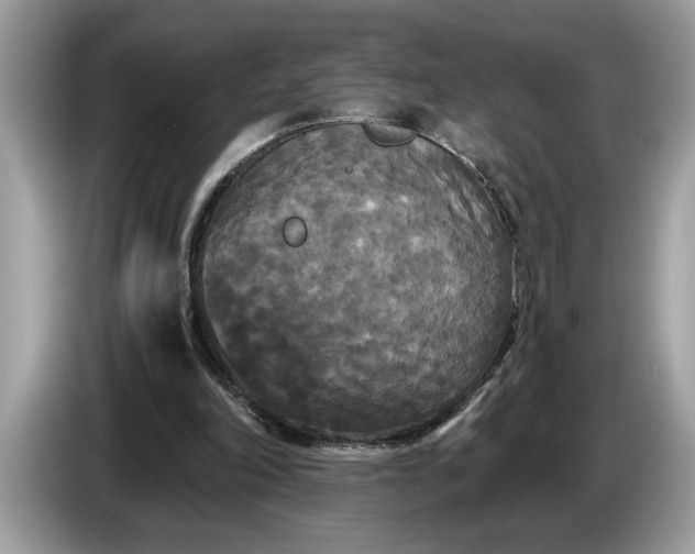 X0000086730198200704271637