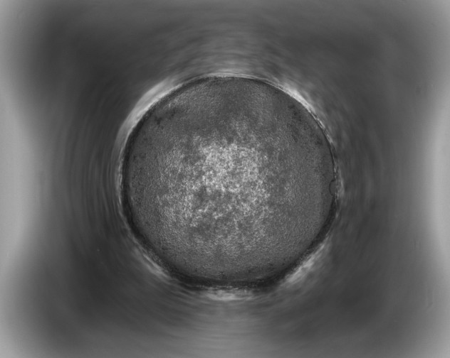 X0000086730199200704271637