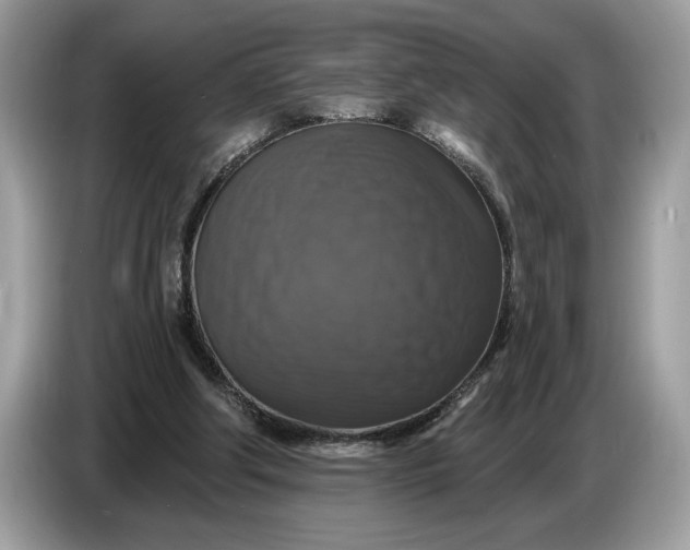 X0000086730202200704271637