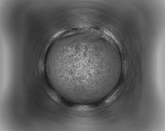 X0000086730203200704271637