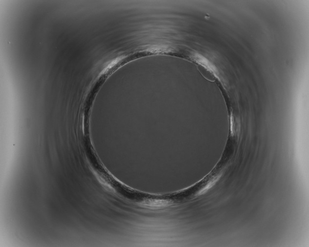 X0000086730205200704271637