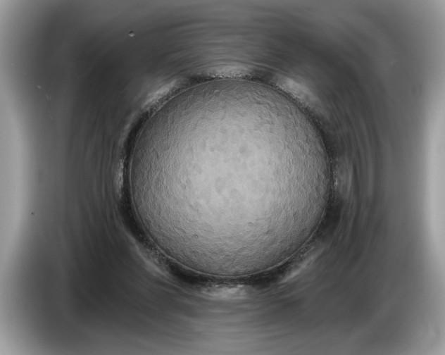 X0000086730206200704271637