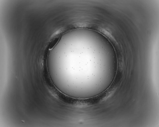 X0000086730207200704271637