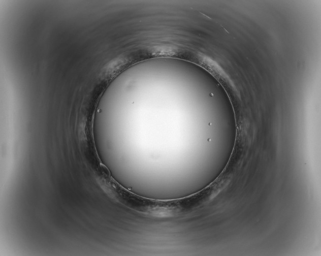 X0000086730209200704271637