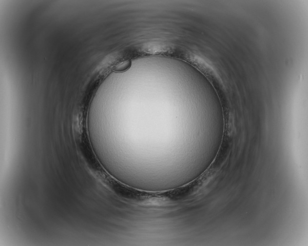 X0000086730210200704271637