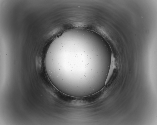 X0000086730211200704271637