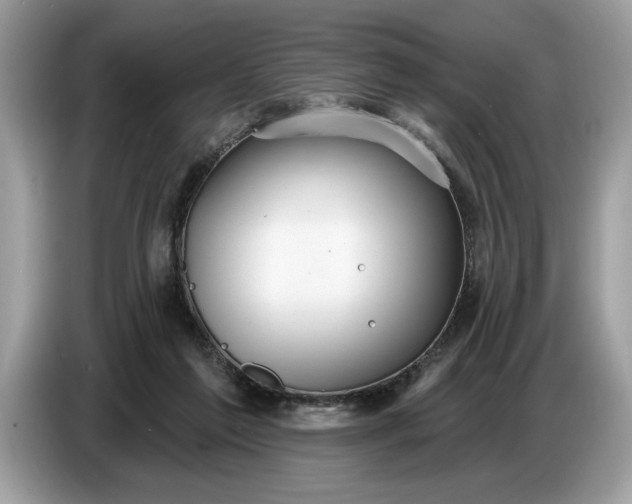 X0000086730213200704271637