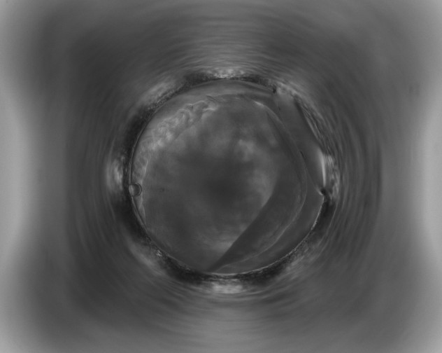 X0000086730214200704271637