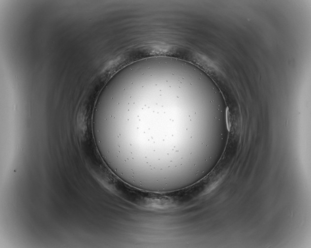 X0000086730215200704271637