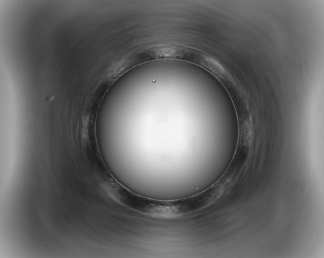 X0000086730217200704271637