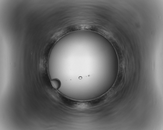 X0000086730218200704271637