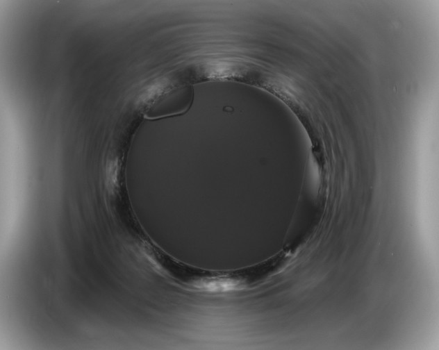 X0000086730219200704271637