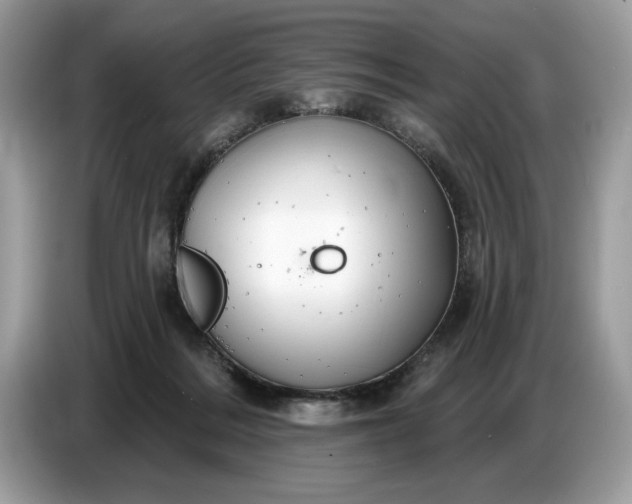 X0000086730220200704271637