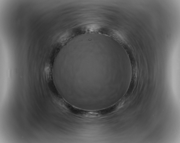 X0000086730222200704271637