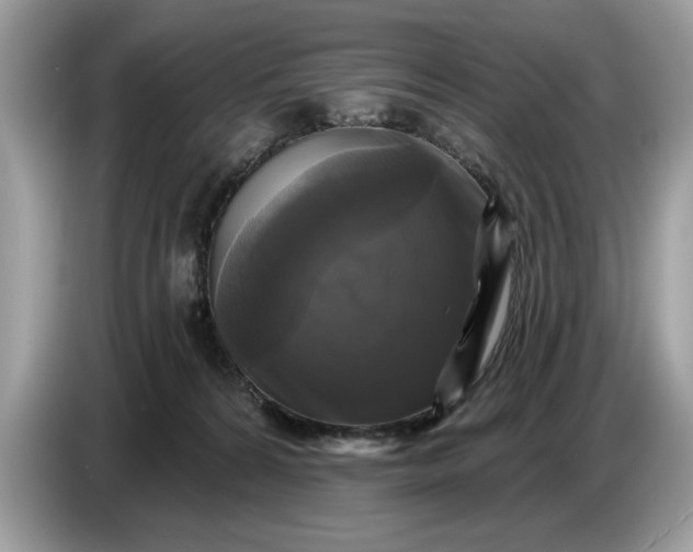 X0000086730224200704271637