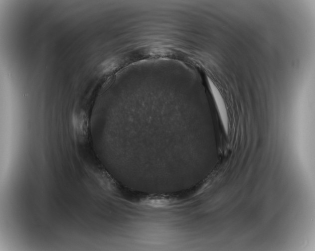 X0000086730228200704271637