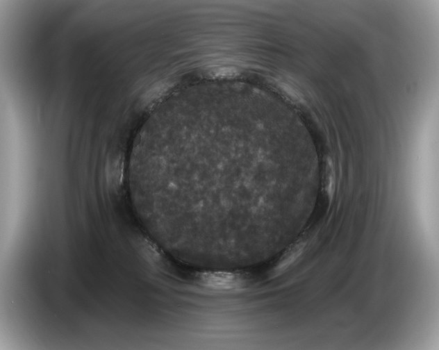 X0000086730230200704271637