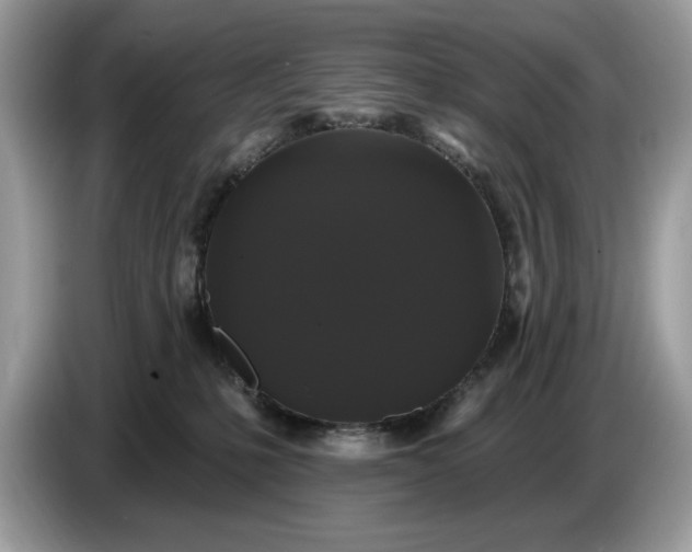 X0000086730231200704271637