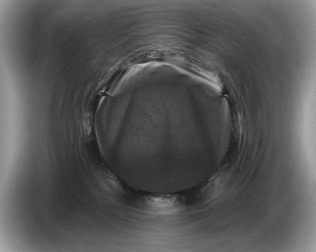 X0000086730232200704271637