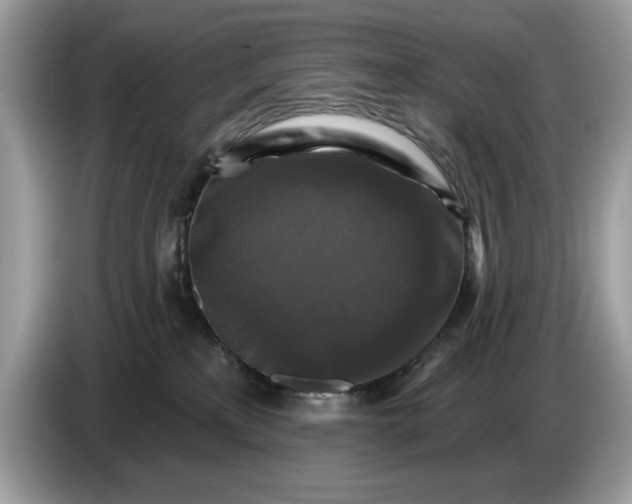 X0000086730233200704271637