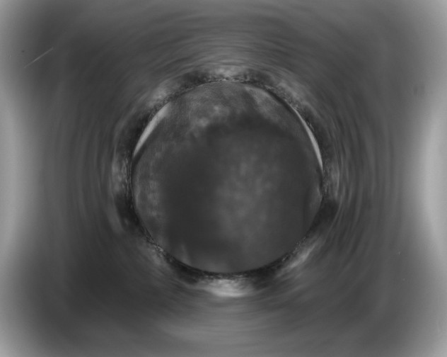 X0000086730236200704271637