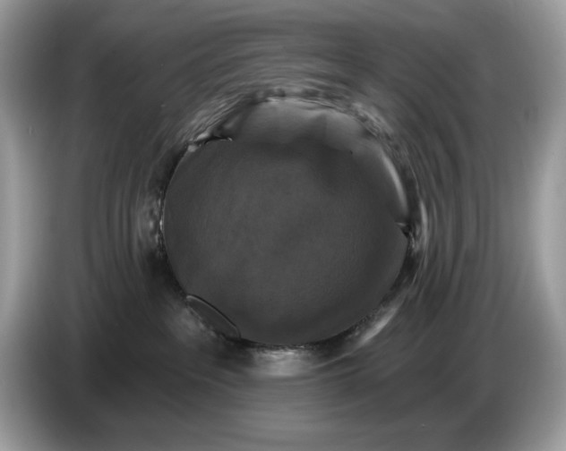 X0000086730237200704271637