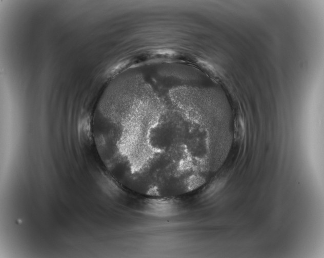 X0000086730238200704271637