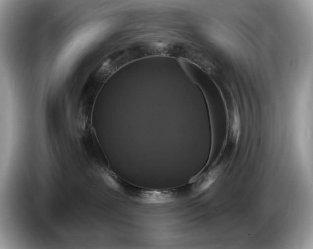 X0000086730239200704271637