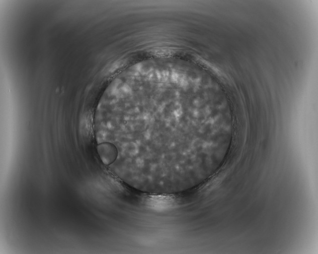 X0000086730240200704271637