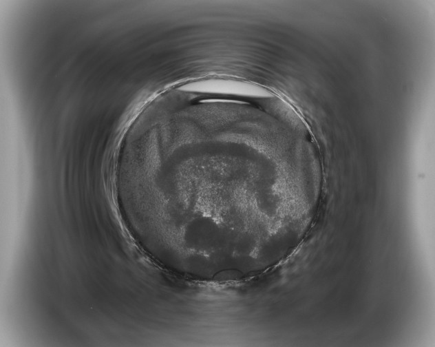 X0000086730241200704271636