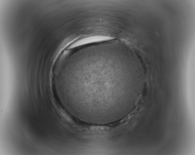 X0000086730242200704271636