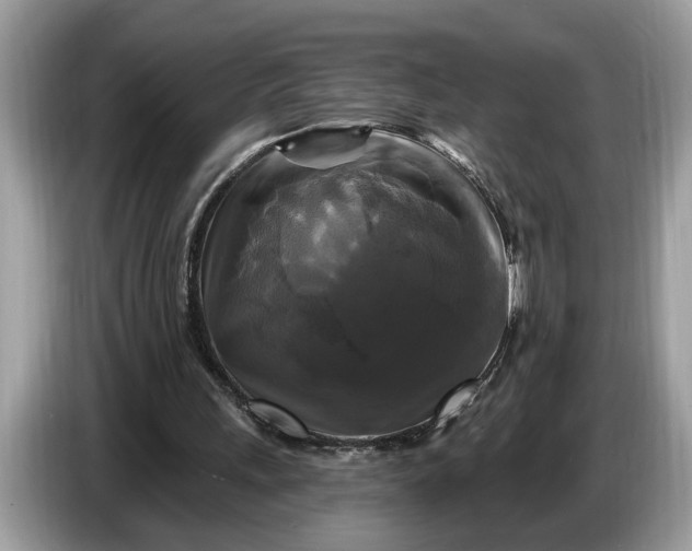 X0000086730243200704271636