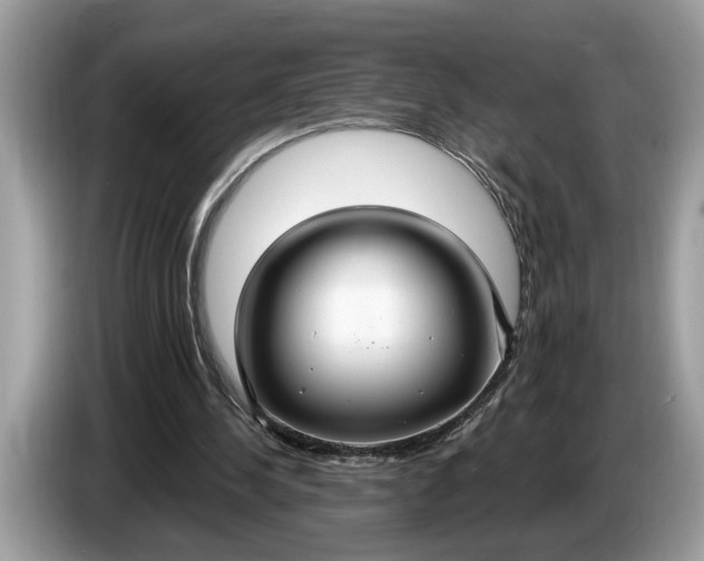 X0000086730244200704271636