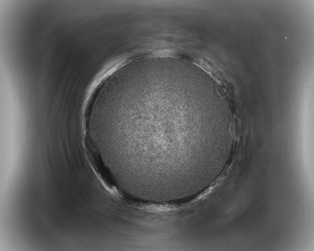 X0000086730245200704271636