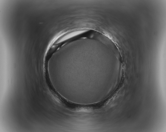 X0000086730248200704271636