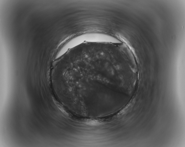 X0000086730249200704271636