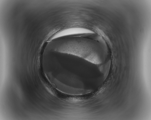 X0000086730250200704271636